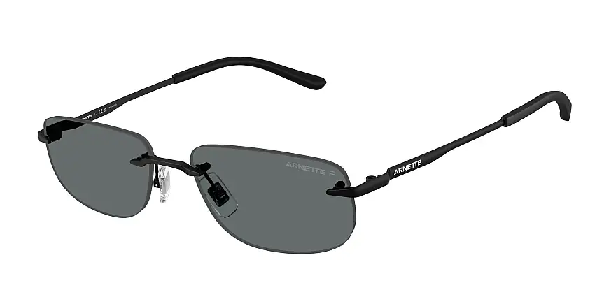 Occhiali da sole ARNETTE AN3096 737/81