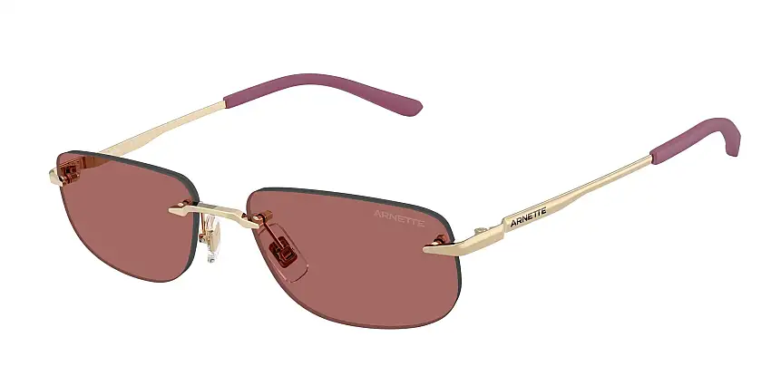 Occhiali da sole ARNETTE AN3096 748/69
