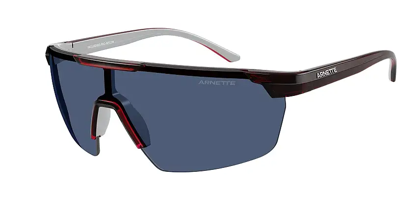 Occhiali da sole ARNETTE AN4369 303980