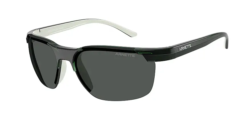 Occhiali da sole ARNETTE AN4370 303887