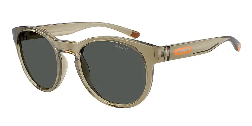 Occhiali da sole ARNETTE AN4371 303187