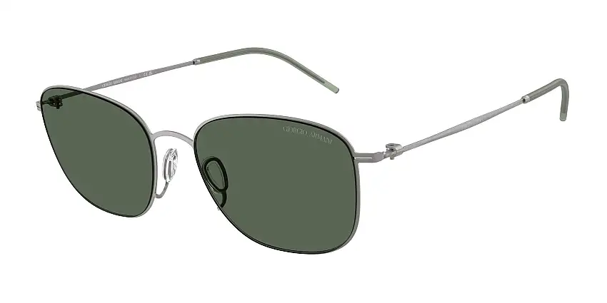 Occhiali da sole GIORGIO ARMANI AR6168 300371