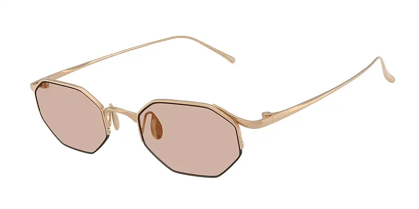 Occhiali da sole GIORGIO ARMANI AR6171T 341173