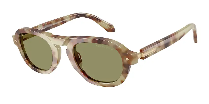 Occhiali da sole GIORGIO ARMANI AR8244 629914