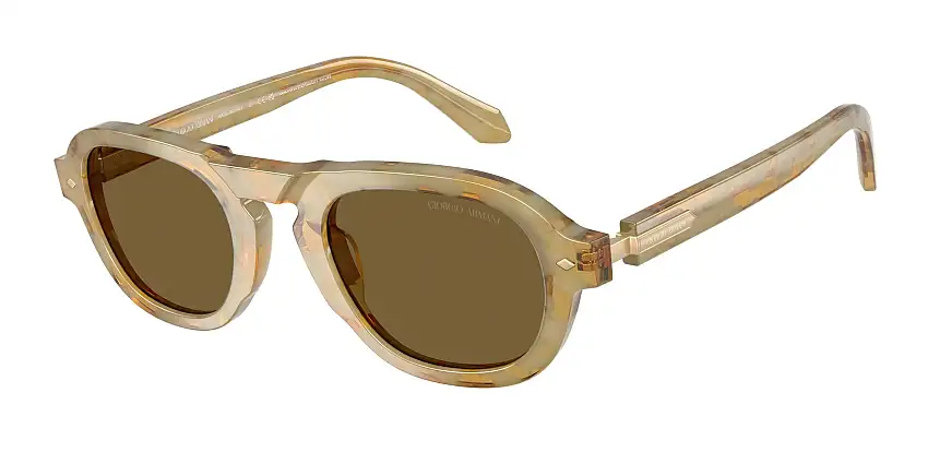 Occhiali da sole GIORGIO ARMANI AR8244 630073