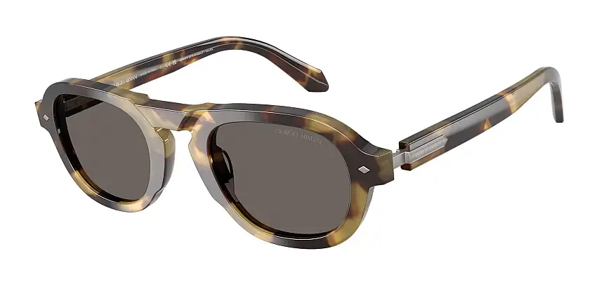 Occhiali da sole GIORGIO ARMANI AR8244 6301B1