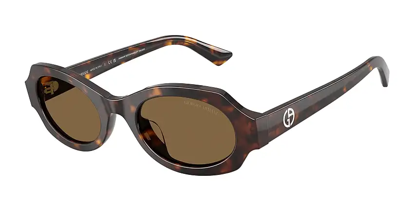 Occhiali da sole GIORGIO ARMANI AR8245HU 587973