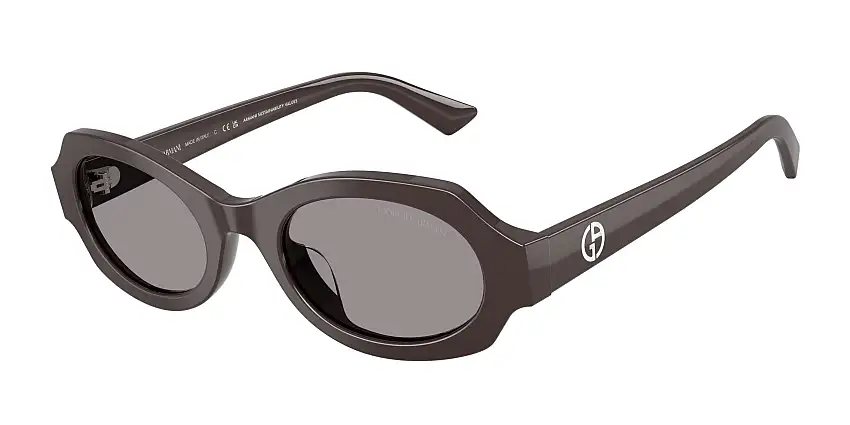 Occhiali da sole GIORGIO ARMANI AR8245HU 6306/1