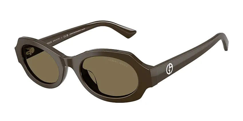 Occhiali da sole GIORGIO ARMANI AR8245HU 630773