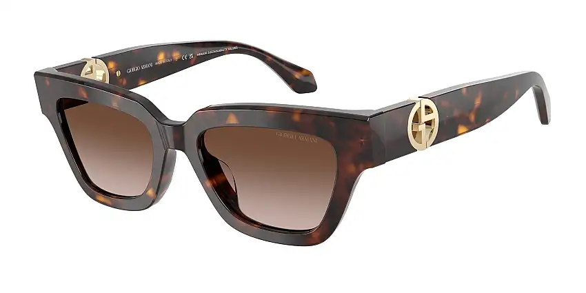 Occhiali da sole GIORGIO ARMANI AR8246U 587913