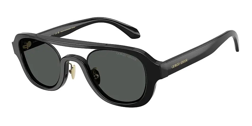 Occhiali da sole GIORGIO ARMANI AR8247 500187
