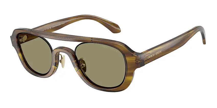 Occhiali da sole GIORGIO ARMANI AR8247 63302A
