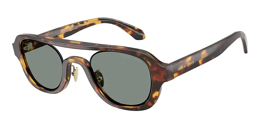 Occhiali da sole GIORGIO ARMANI AR8247 6331/1