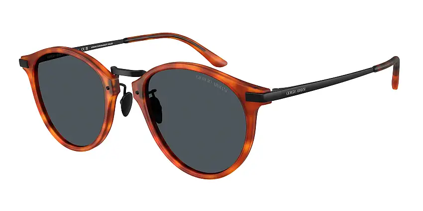 Occhiali da sole GIORGIO ARMANI AR8250 6404R5