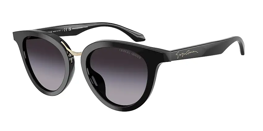 Occhiali da sole GIORGIO ARMANI AR8252U 50178G