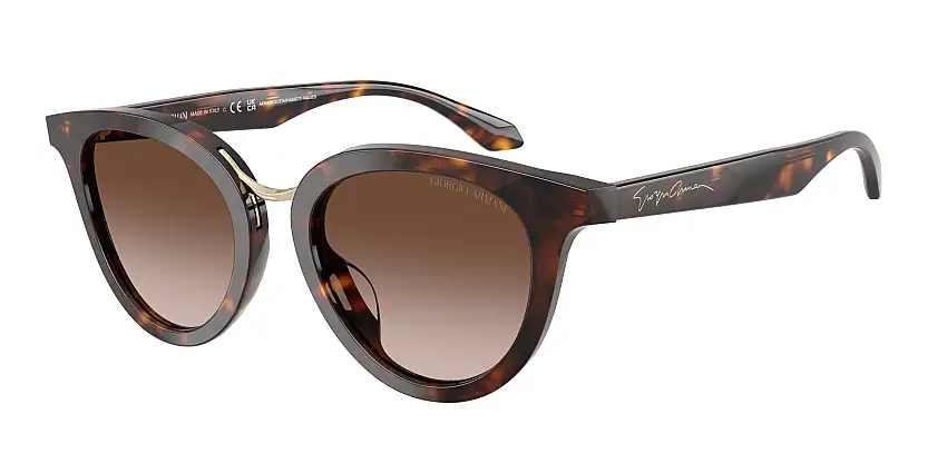 Occhiali da sole GIORGIO ARMANI AR8252U 612413