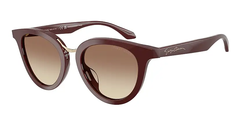 Occhiali da sole GIORGIO ARMANI AR8252U 639913