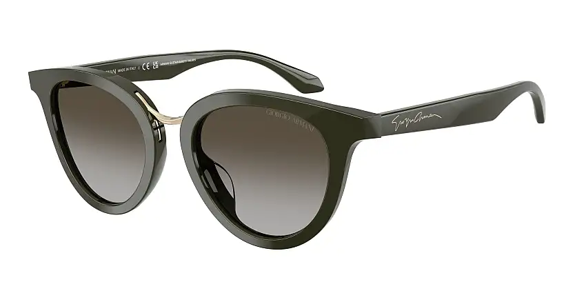 Occhiali da sole GIORGIO ARMANI AR8252U 640013