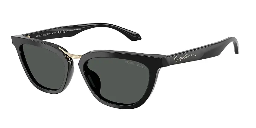 Occhiali da sole GIORGIO ARMANI AR8253U 501787