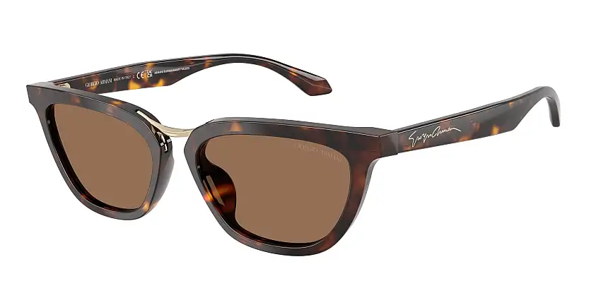 Occhiali da sole GIORGIO ARMANI AR8253U 612473