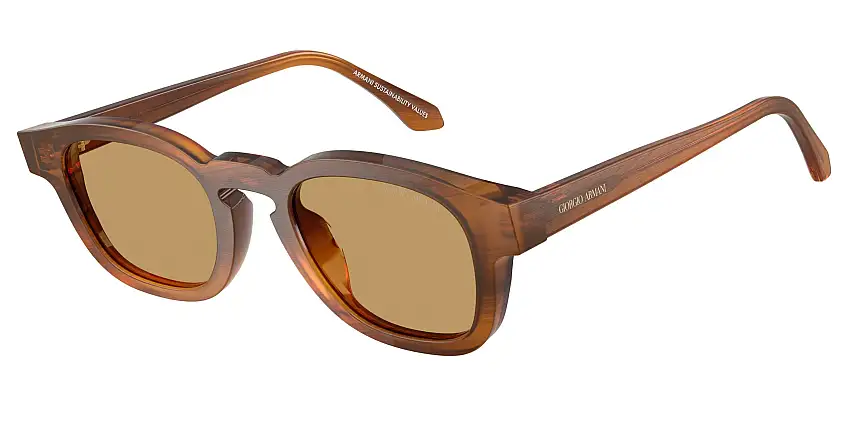 Occhiali da sole GIORGIO ARMANI AR8254U 616373