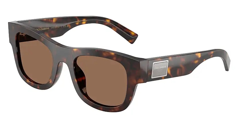 DOLCE & GABBANA SunglassesDG4509 502/73