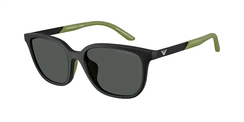 Occhiali da sole EMPORIO ARMANI EK4006U 500187
