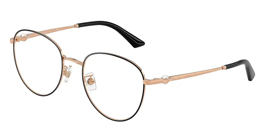 JIMMY CHOO Prescription glassesJC2013HD 3022