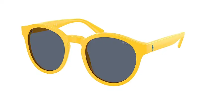 Occhiali da sole POLO PH4192 542087