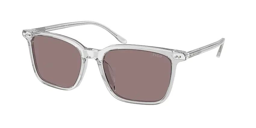 Occhiali da sole POLO PH4194U 59587N