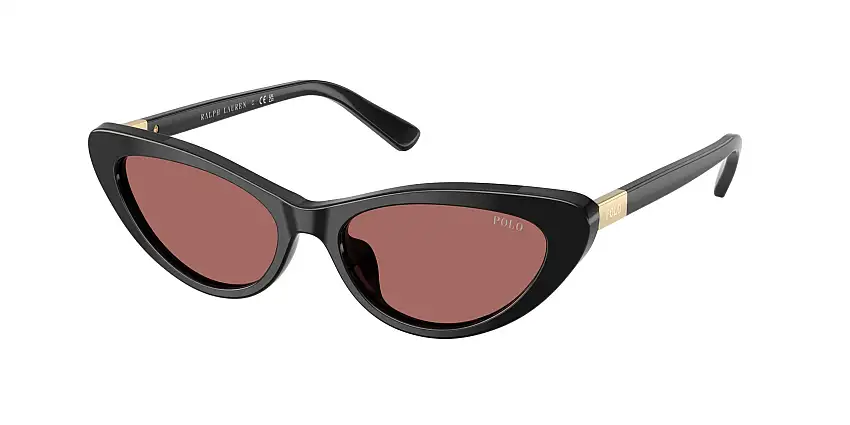 Occhiali da sole POLO PH4199U 500169