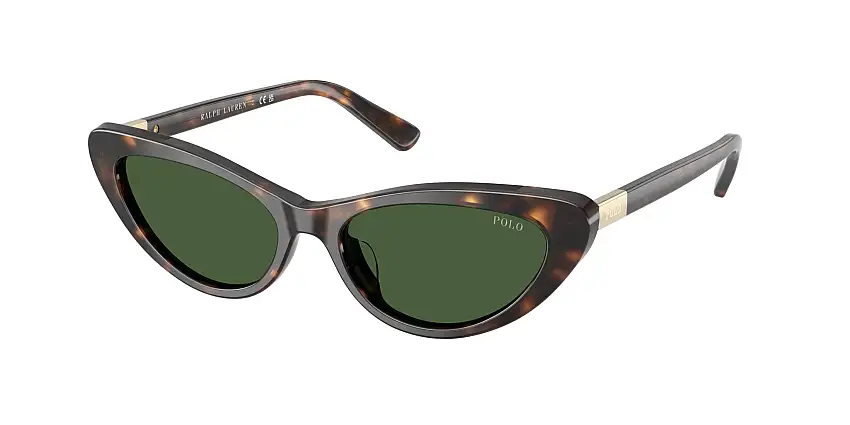 Occhiali da sole POLO PH4199U 500371