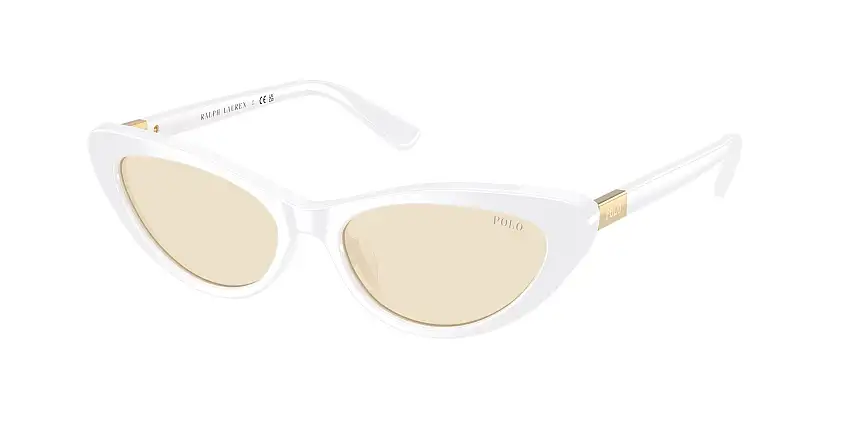 Occhiali da sole POLO PH4199U 5544/8