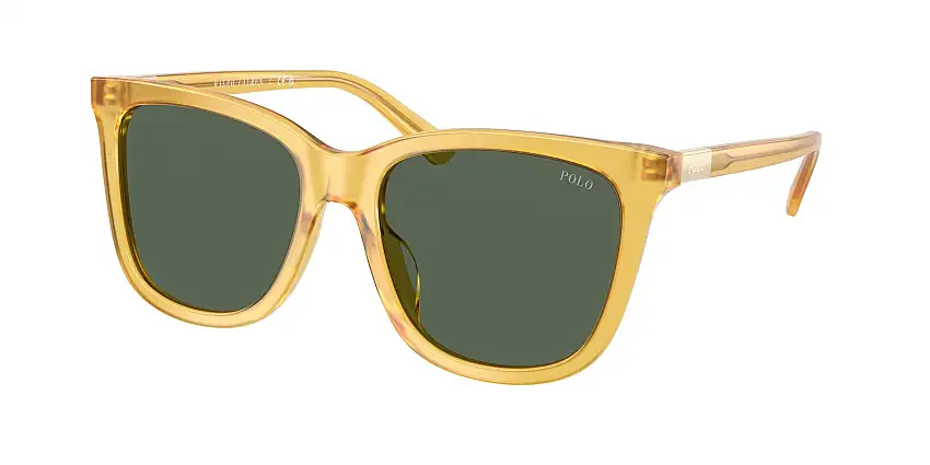 Occhiali da sole POLO PH4201U 500571