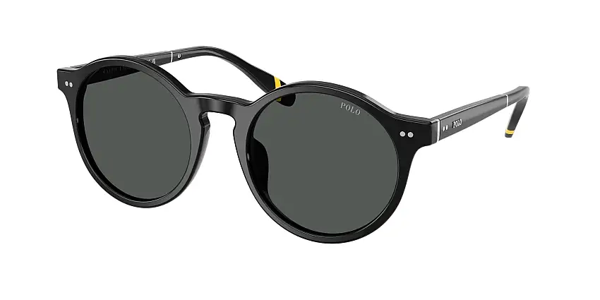 POLO SunglassesPH4204U 538587