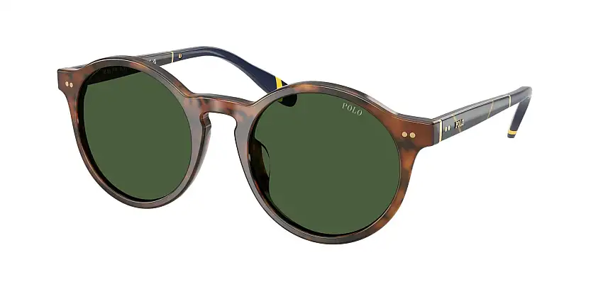 POLO SunglassesPH4204U 562571