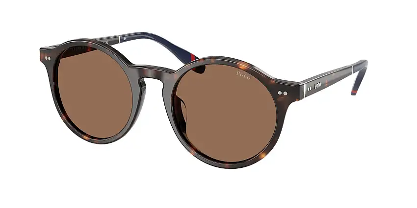 POLO SunglassesPH4204U 567373