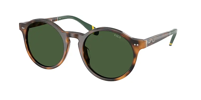 POLO SunglassesPH4204U 608971