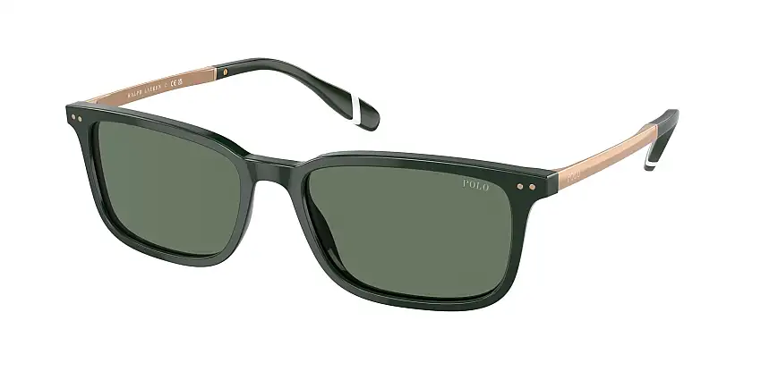 POLO SunglassesPH4212 614071