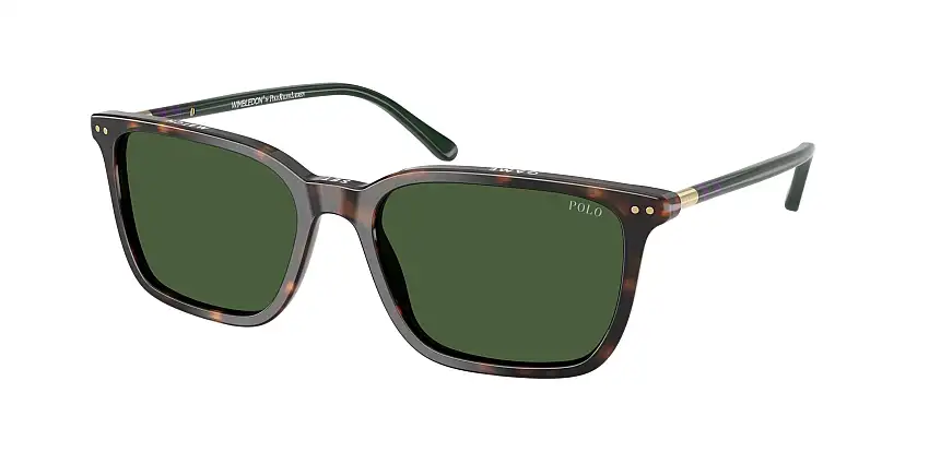 Occhiali da sole POLO PH4226 567371