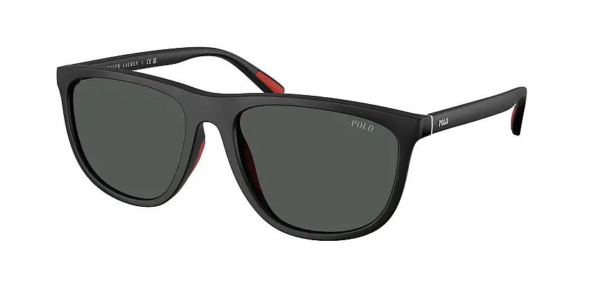 Occhiali da sole POLO PH4231U 550487