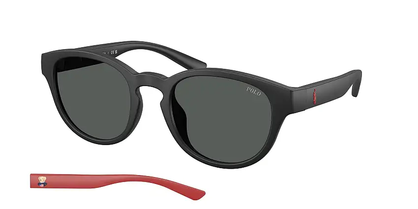 Occhiali da sole POLO PH4233U 550487