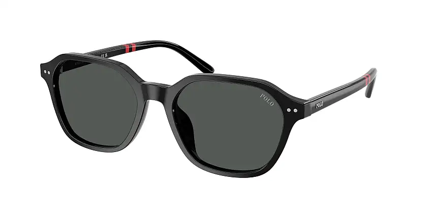 Occhiali da sole POLO PH4234U 500187
