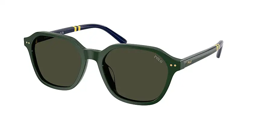 Occhiali da sole POLO PH4234U 614082