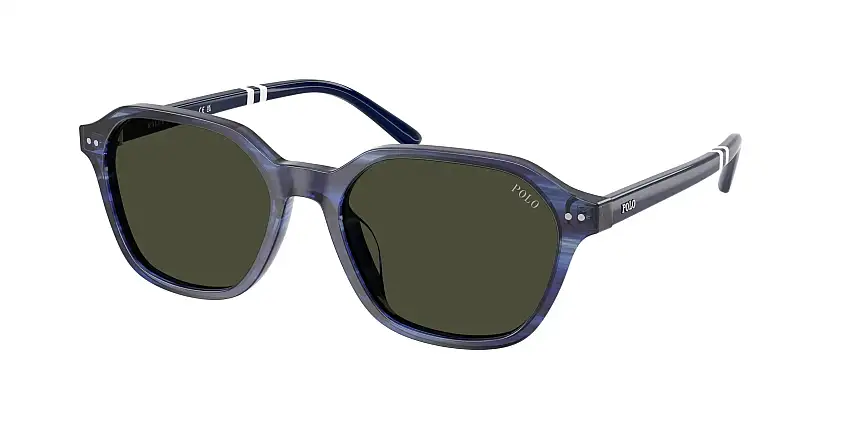 Occhiali da sole POLO PH4234U 631487