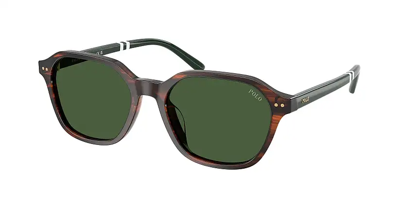 Occhiali da sole POLO PH4234U 631571