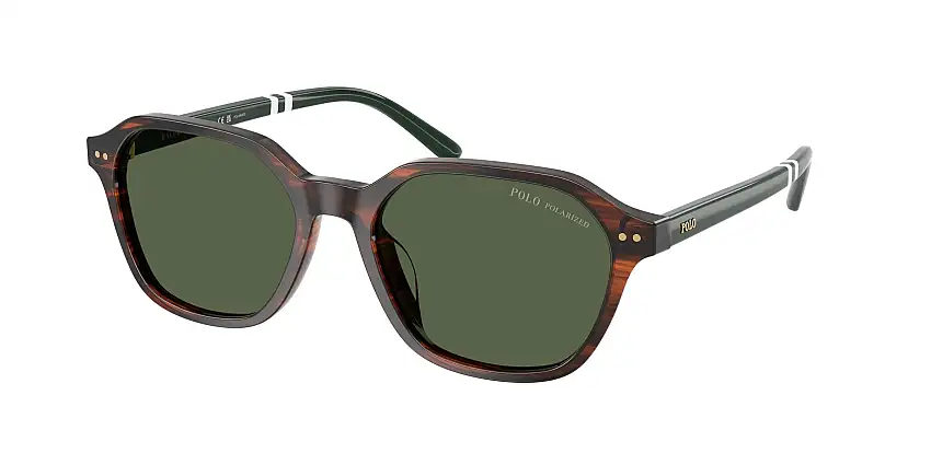 Occhiali da sole POLO PH4234U 63159A