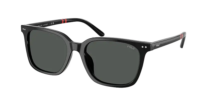 Occhiali da sole POLO PH4235U 500187