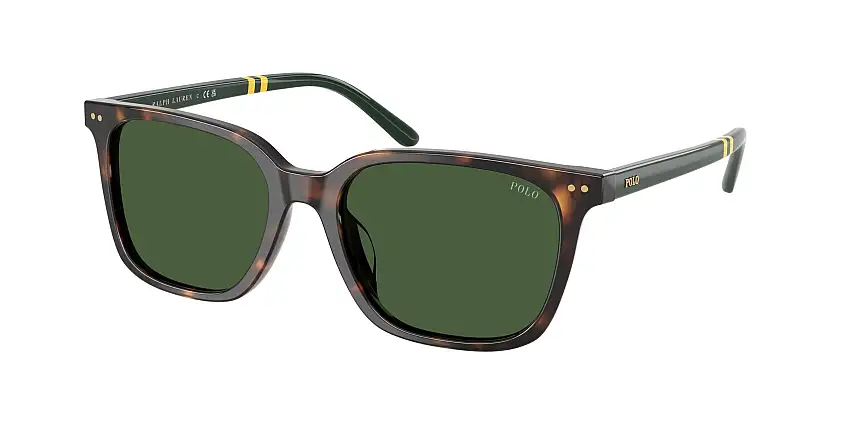 Occhiali da sole POLO PH4235U 500371