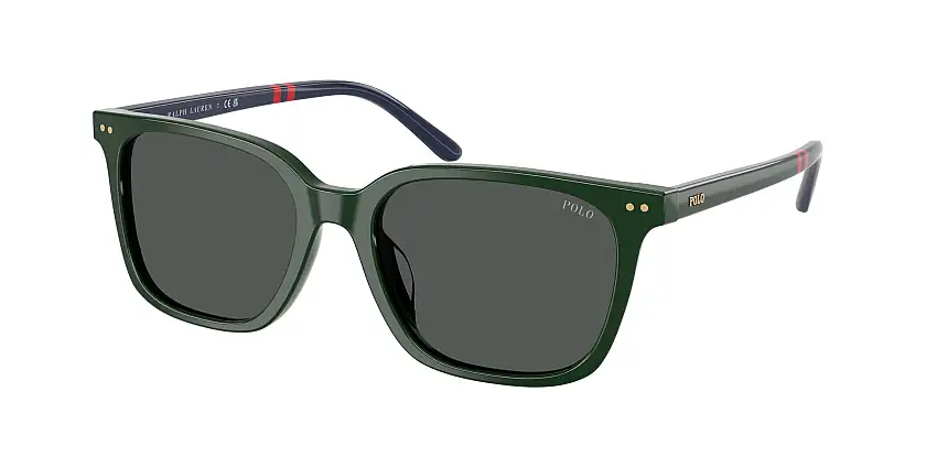 Occhiali da sole POLO PH4235U 614087